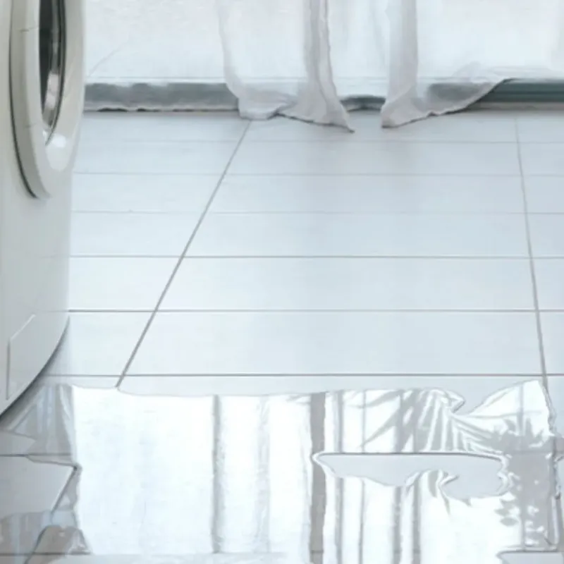 Appliance Leak Cleanup in Key Center, WA