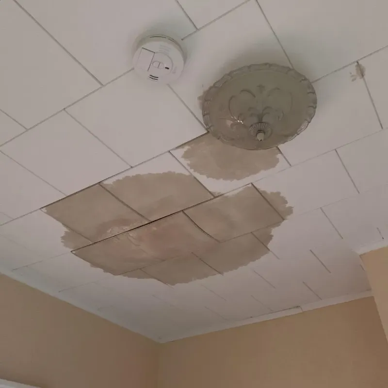 Ceiling Water Damage Repair in Key Center, WA