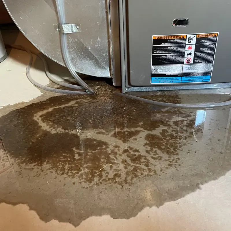 Pipe Burst and Leak Restoration in Key Center, WA