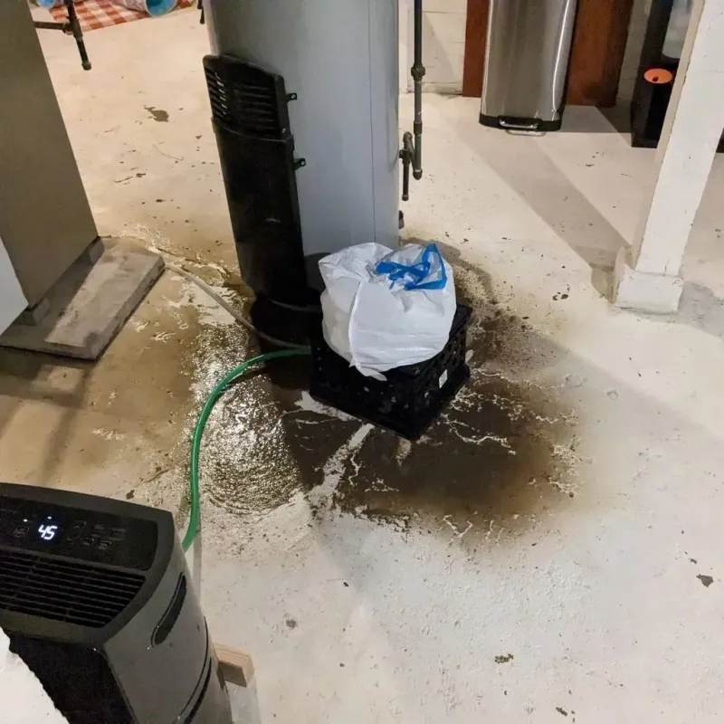 Sewage Backup Cleanup Service in Key Center, WA